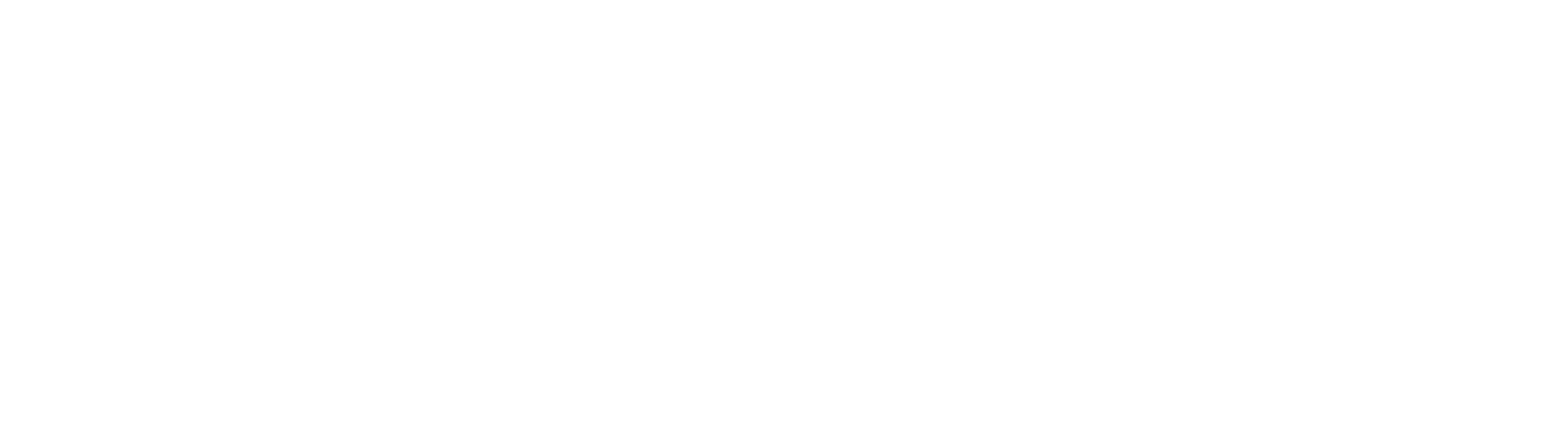 Practice Principled Innovation Logo